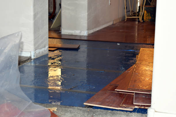 Professional Burst Pipe Cleanup technician working in Arcadia, MI