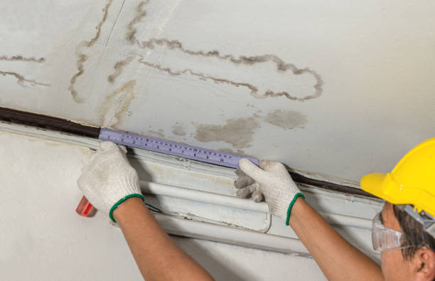 Reliable Burst Pipe Cleanup contractor in Arcadia, MI by Local Water Damage Repair